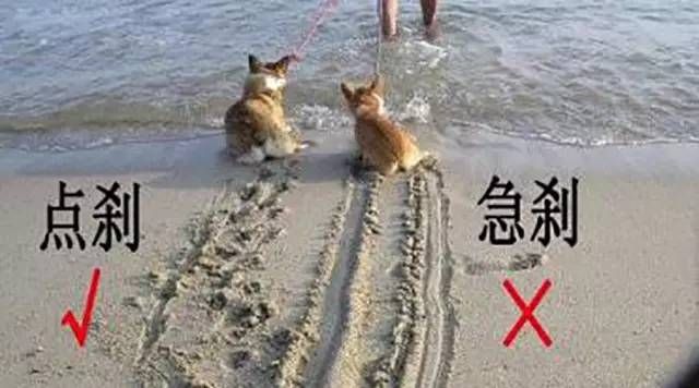 高速公路上開車最重要的這幾點你都知道嗎？