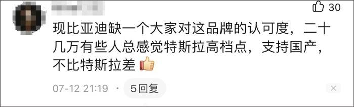 比亞迪，特斯拉，電池，華為，比亞迪,特斯拉,汽車銷量,新能源汽車