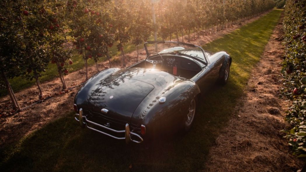 1965 Shelby 427 Cobra, CSX3178