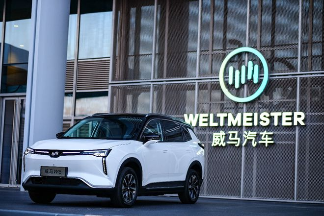 威馬汽車借殼上市夢碎，創始人沈暉仍“在線”