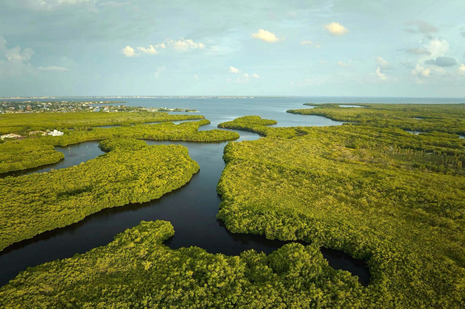 “潤(rùn)澤濕地，循環(huán)共生”科普盛宴喊你帶娃來(lái)看展
